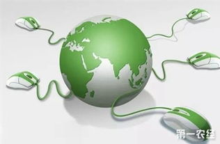 關(guān)注這十大農(nóng)業(yè)戰(zhàn)略，讓農(nóng)民朋友的錢包鼓起來